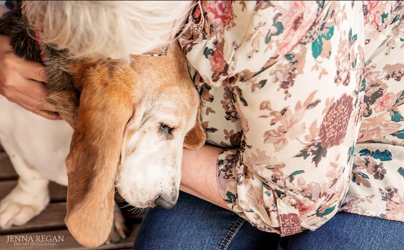 https://www.jennaregan.com/wp-content/uploads/2018/05/older-woman-with-senior-basset-hound-dog-carrollton-texas-dog-photo-shoot-jenna-regan-photography.jpg